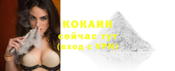 индика Ростов