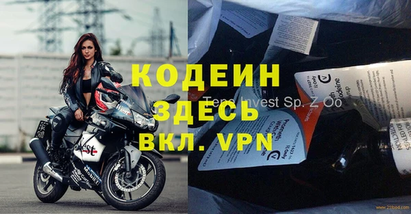 индика Ростов