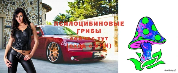 индика Ростов