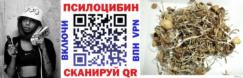 mega ссылки  Чекалин  площадка телеграм  Галлюциногенные грибы MAGIC MUSHROOMS 