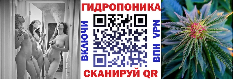 Каннабис конопля  Чекалин 